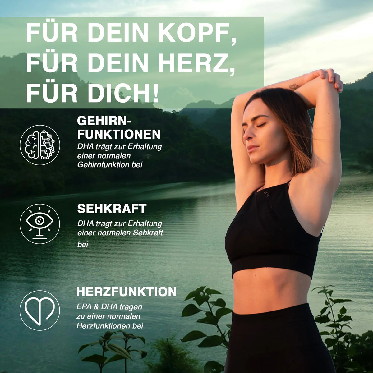 Omega-3-Fettsäuren: Die Kraft von EPA und DHA – Warum das richtige Verhältnis entscheidend ist - AMAZING NATURE