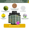 LeberFit Mariendistel Kapseln Hochdosiert 5-Fach Komplex 1 x 120 vegane Kapseln Laborgeprüft aus 80% Silymarin Mariendistel Artischocke Löwenzahn Desmodium und Cholin. Amazing Prime GmbH